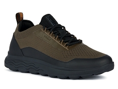 LAL497C U35BYA . U.SPHERICA A:SYNTHE./KAKI//