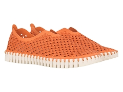 SN2505 TULIP 3275:SYNTHE./ORANGE//