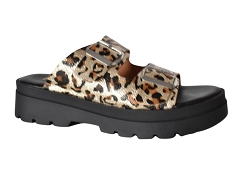 PATRICIA MILLER 6.602<br>Marron