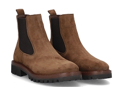 CALMONT . P 2609:VEL + NUB/BRUN MOYEN//