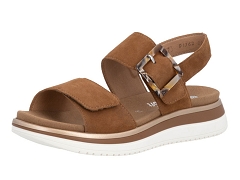 REMONTE D1J62<br>Marron