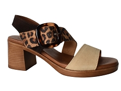 SANDRA COVES 6620<br>Marron