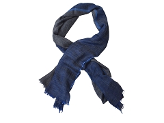 JALMA 50.290:BLEU//