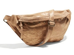 GOHOU 17136453 . PCDAINO:BRUN MOYEN//