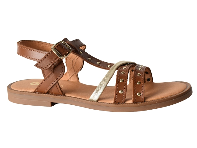 Gbb fille orkida marron