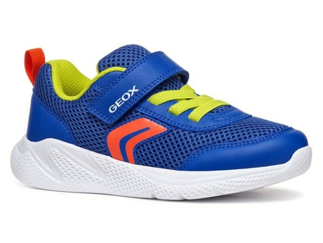 Geox garcon j36gba . sprintye bleu