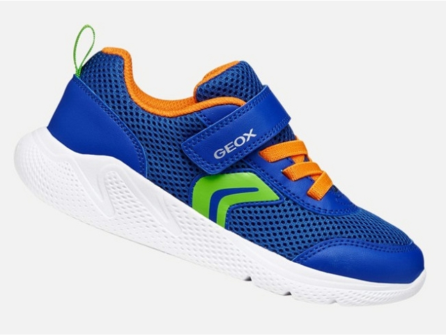 Geox garcon j36gba . sprintye bleu