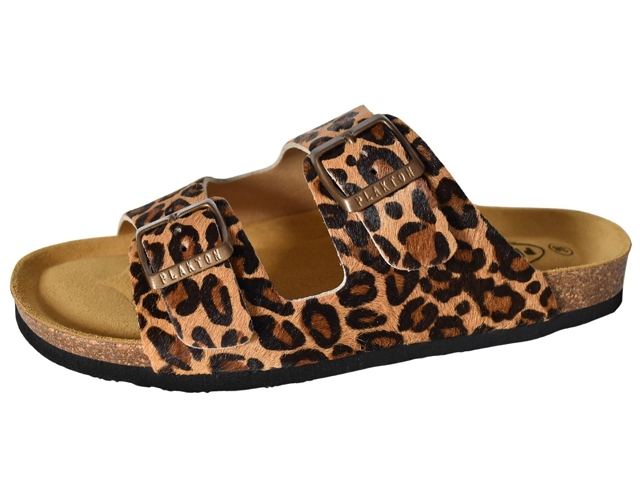 Plakton femme beta marron