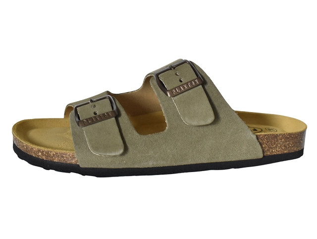 Plakton femme beta vert