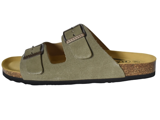Plakton femme beta vert6324104_2