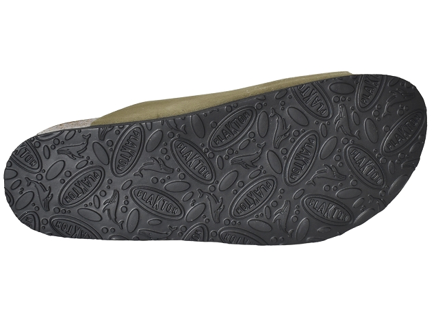 Plakton femme beta vert6324104_4