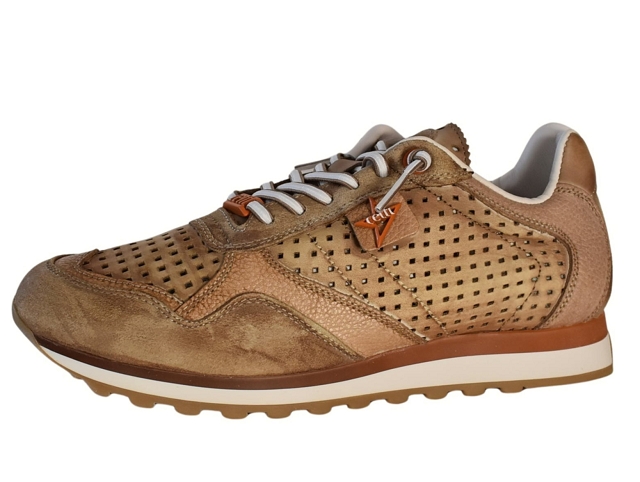 Cetti homme c848 marron