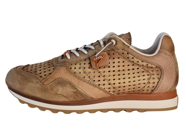 Cetti homme c848 marron6337702_2