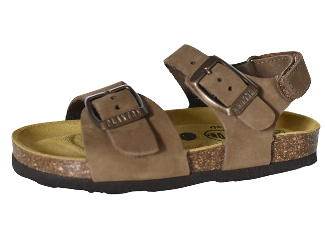 Plakton bebe palma marron