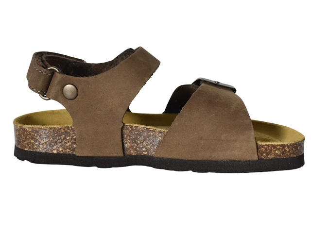 Plakton garcon palma marron6375501_3