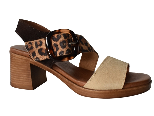 Sandra coves femme 6620 marron