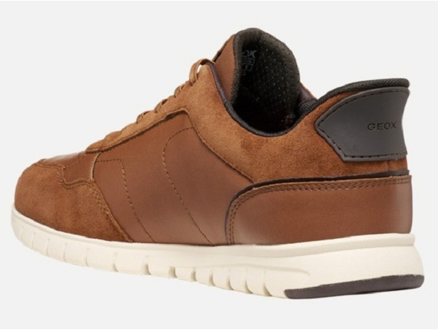 Geox homme u66nea . fletridezero plus marron6394001_5