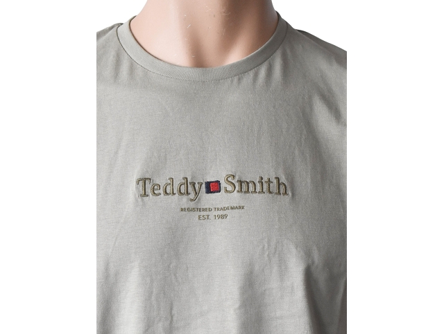 Teddy smith homme 11017024d . t.jim mc vert8187409_2