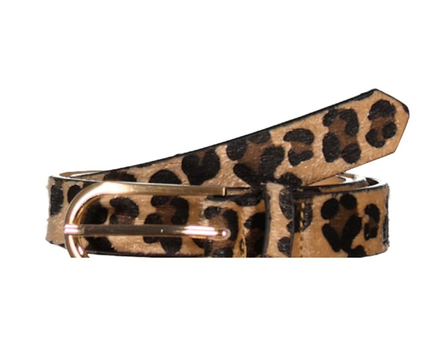 Garcia divers h50132 marron