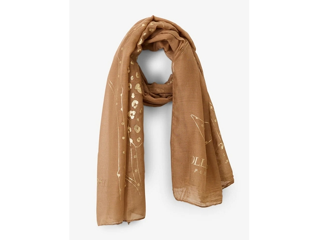 Lollipops divers ronyta rectangle marron