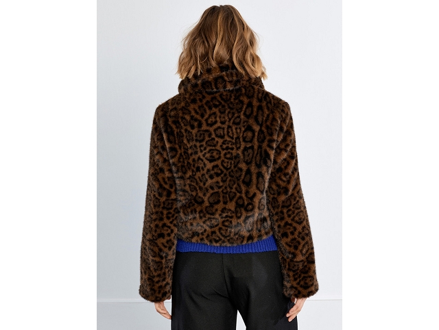 Lili sidonio femme hal68 marron8436801_4