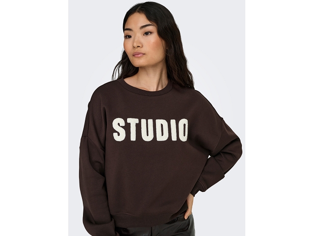 Only femme onlsweat life . 15254183 marron8476601_2
