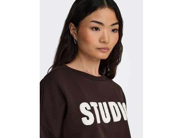 Only femme onlsweat life . 15254183 marron8476601_3